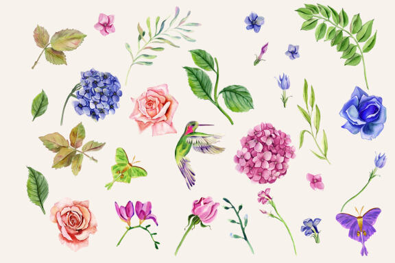 Watercolor garden flowers, hydrangea, roses, tulips