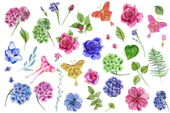 Watercolor garden flowers, hydrangea, roses, tulips