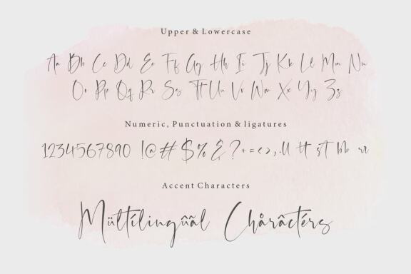 Auguste Boutique Modern Calligraphy Font
