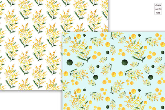 Watercolor mimosas, blossoming branches.