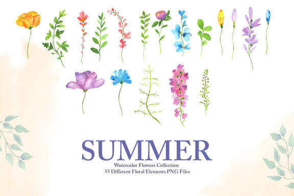 Watercolor Summer Flowers Collection