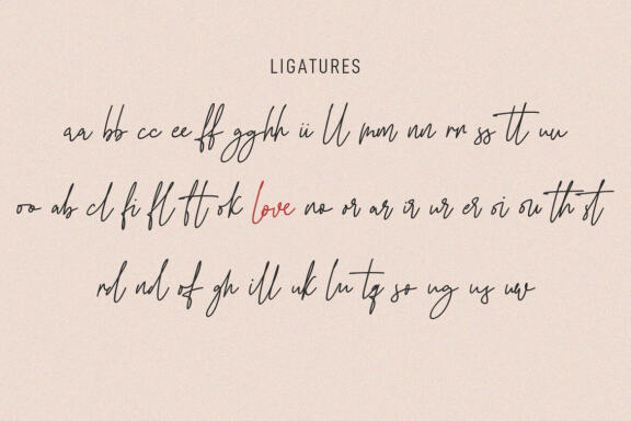 Geofly Signature Script Font