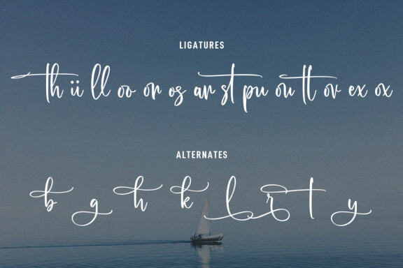 Sailor Bay FREE Script Font