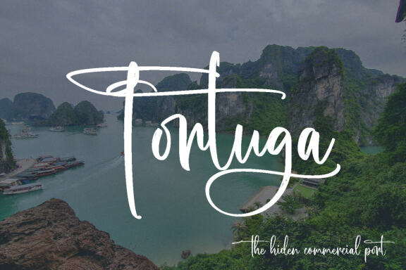 Sailor Bay FREE Script Font