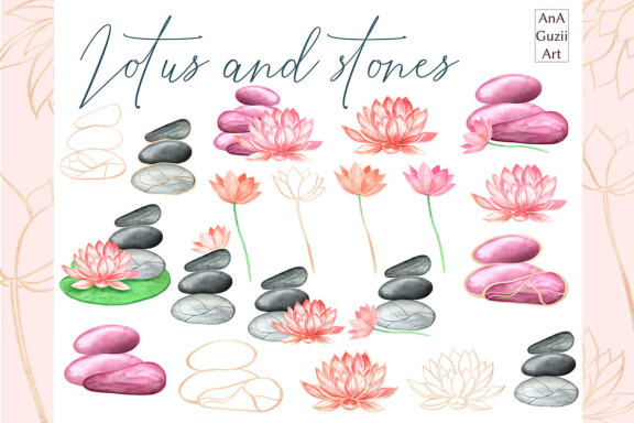 Lotus flowers and stones, watercolor flower Illustration.