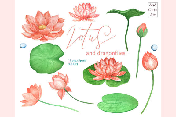 Watercolor Lotus flowers, Dragonfly Illustration.