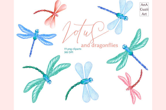 Watercolor Lotus flowers, Dragonfly Illustration.
