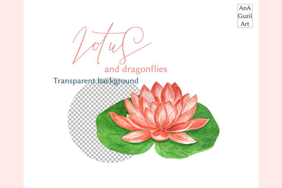 Watercolor Lotus flowers, Dragonfly Illustration.