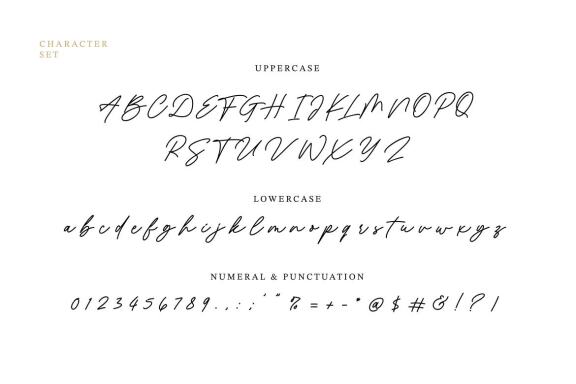 Revisthond Handwritten Script