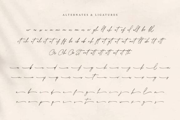 Collingethon Chic Handwritten Script