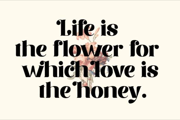 Merdian Serif