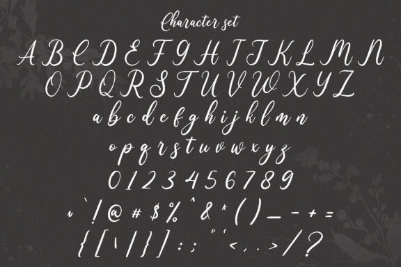 Wonder Villa Script Font