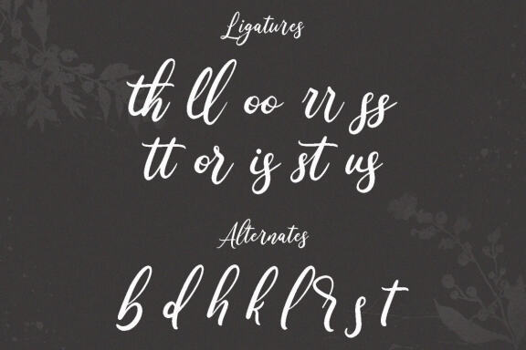 Wonder Villa Script Font