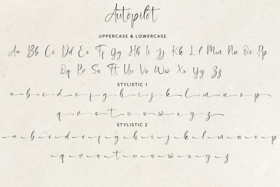 Autopilot Signature