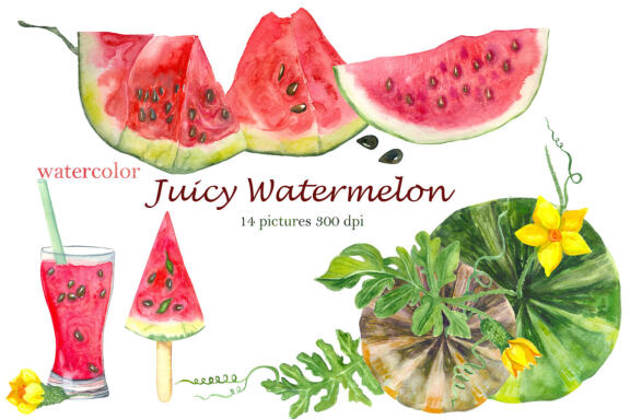 Watercolor pink watermelon summer clipart