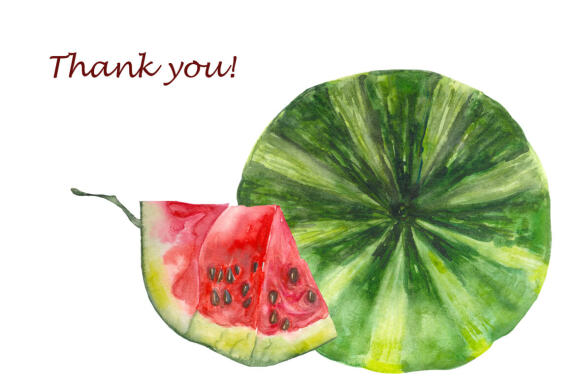Watercolor pink watermelon summer clipart