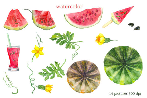 Watercolor pink watermelon summer clipart