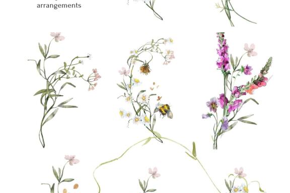 Midsummer collection. 95 PNG. 