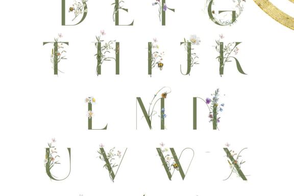 Midsummer collection. 95 PNG. 
