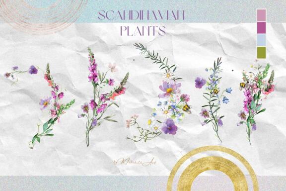 Midsummer collection. 95 PNG. 