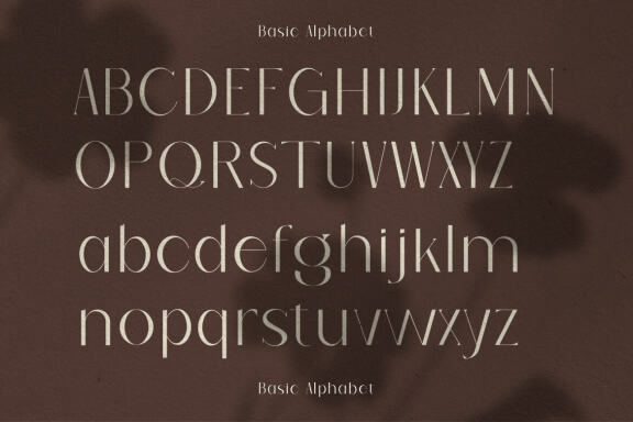 Barieta Elegant Typeface