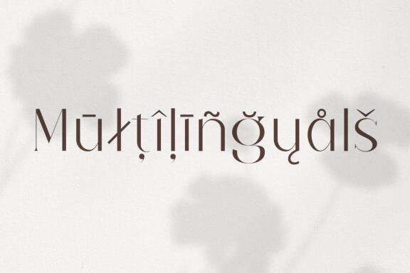 Barieta Elegant Typeface