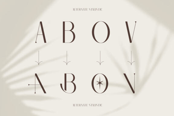 Barieta Elegant Typeface