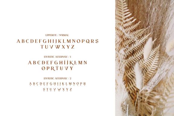 RELIGATH - Serif 316 Ligatures
