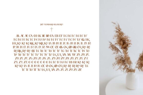 RELIGATH - Serif 316 Ligatures