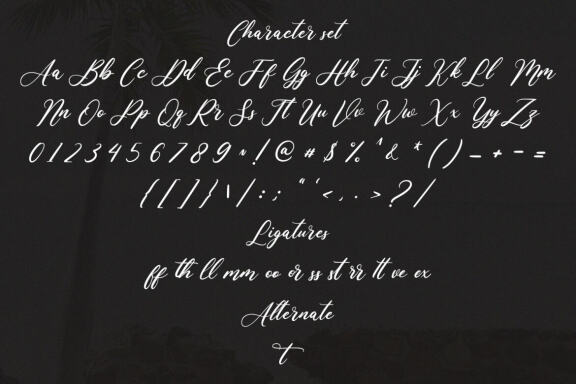 Aisollya Beauty Script Font