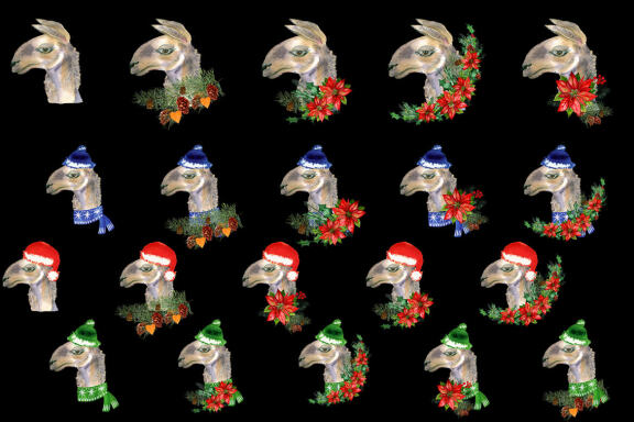 Watercolor Llama christmas clipart - Sublimation designs