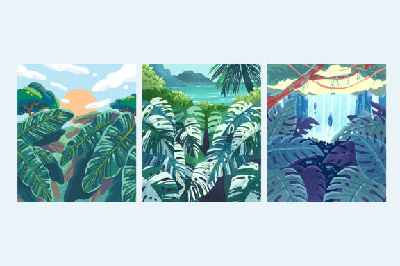 3 TROPICAL JUNGLE ILLUSTRATION