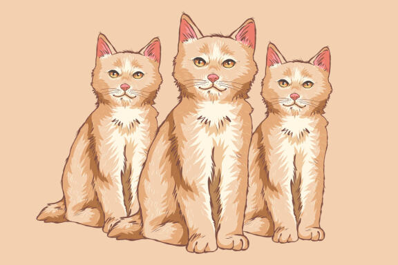 CUTE CAT - Realistic Illustration