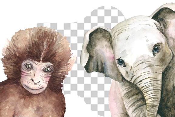 Watercolor Safari Baby Animals Clipart