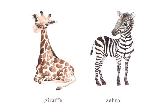 Watercolor Safari Baby Animals Clipart
