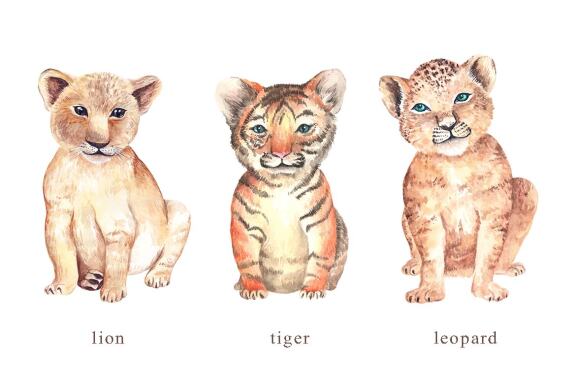 Watercolor Safari Baby Animals Clipart