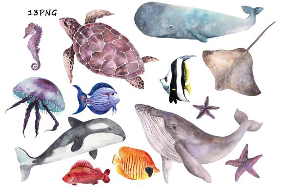 Watercolor Coral Reef,  Ocean Animals Clipart