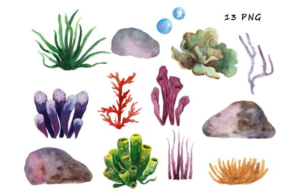 Watercolor Coral Reef,  Ocean Animals Clipart