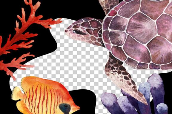 Watercolor Coral Reef,  Ocean Animals Clipart