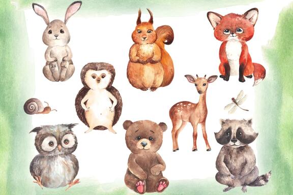 Watercolor Woodland Animals Clipart, Forest Elements