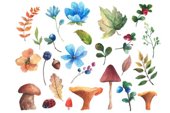 Watercolor Woodland Animals Clipart, Forest Elements