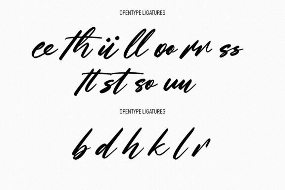 Gritts Rolly FREE Script Font