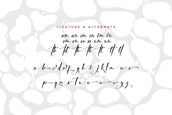 City Halle Script