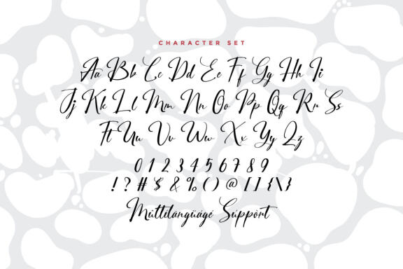 City Halle Script