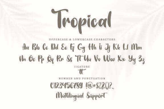 Tropical Display
