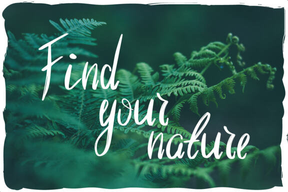 Wild nature font