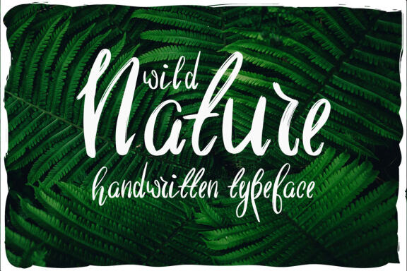 Wild nature font