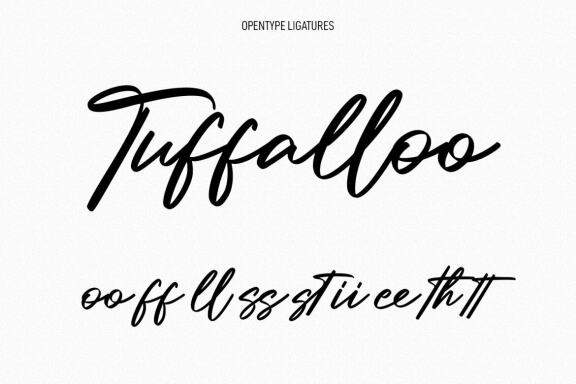 Millie Bobby Signature Script Font