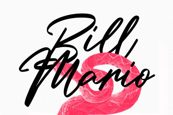 Millie Bobby Signature Script Font