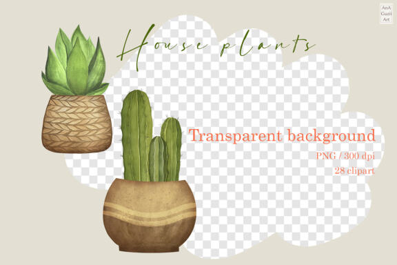 Home plants, pots, flower pot clipart.